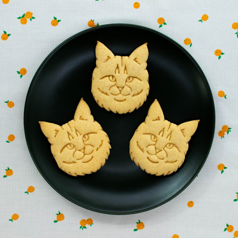 maine coon cat cookies made with bakerlogy maine coon cat cookie cutter