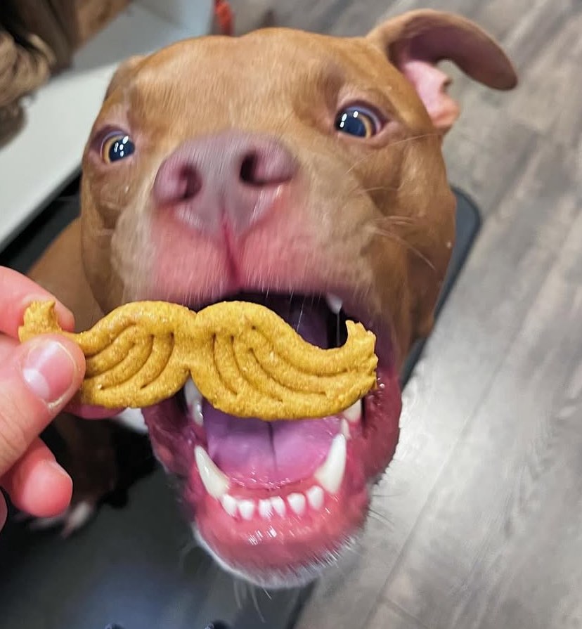 nanas_tea_time_treats