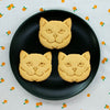 British shorthair cookies, made with Bakerlogy british shorthair cat cookie cutter
