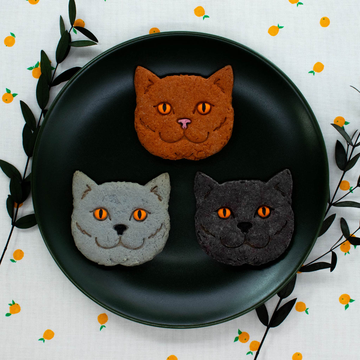 British shorthair cookies decorated with royal icing, made with Bakerlogy british shorthair cat cookie cutter