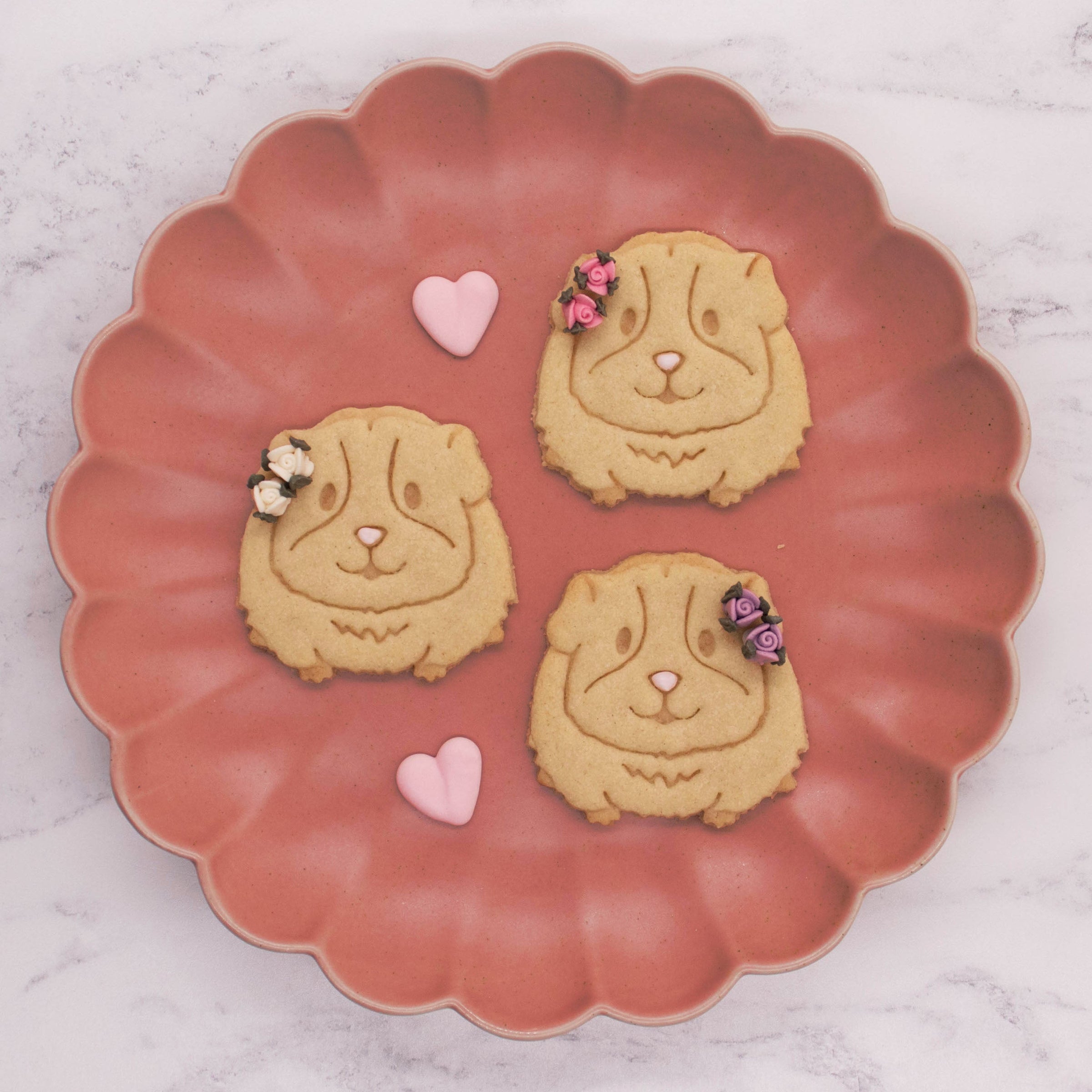 Bakerlogy Guinea Pig Cookies