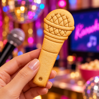 Karaoke Mic