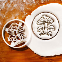 Magical Wild Mushrooms