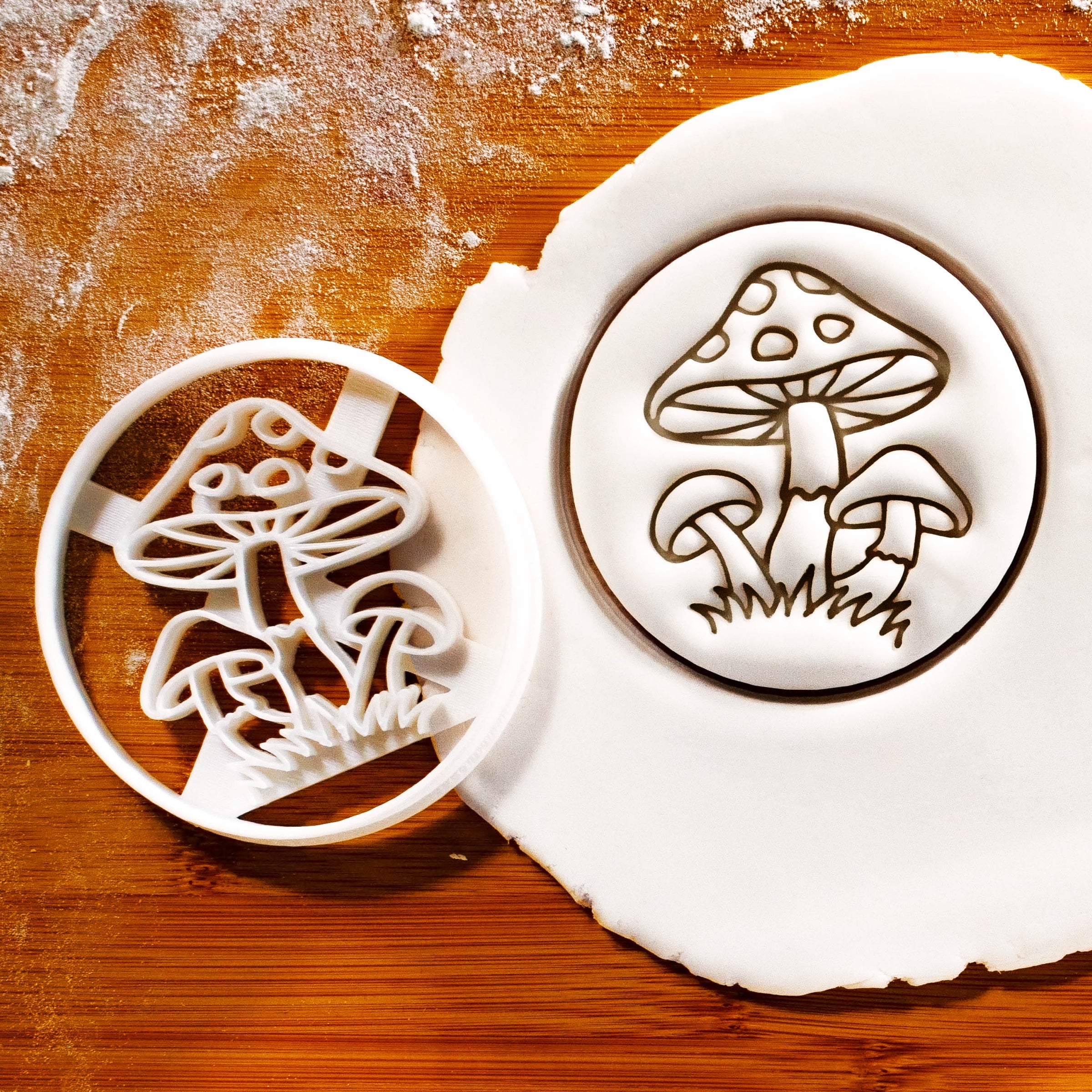 Magical Wild Mushrooms