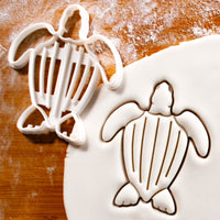 Leatherback Sea Turtle