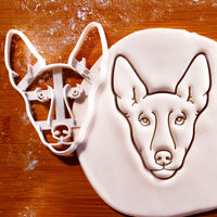 Pharaoh Hound Dog Face