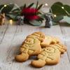 Christmas Platypus