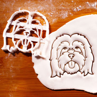 Tibetan Terrier Face