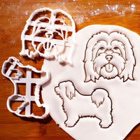 Set of 2 Tibetan Terrier