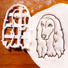 Set of 2 Afghan Hound