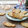 Christmas Manatee