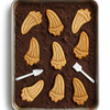 Mosasaurus Fossil Set (2pcs)