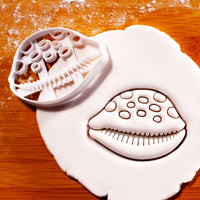 Cowrie Shell Cookie Cutter