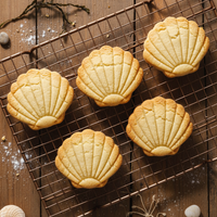 Scallop Shell