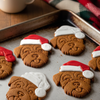 Santa Border Terrier