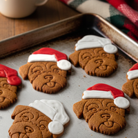 Santa Border Terrier