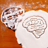 Lateral View Brain Cookie Cutter