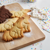 Anteater Set (Realistic & Cute)