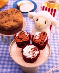 Cowboy Boot & Hat Mini Set