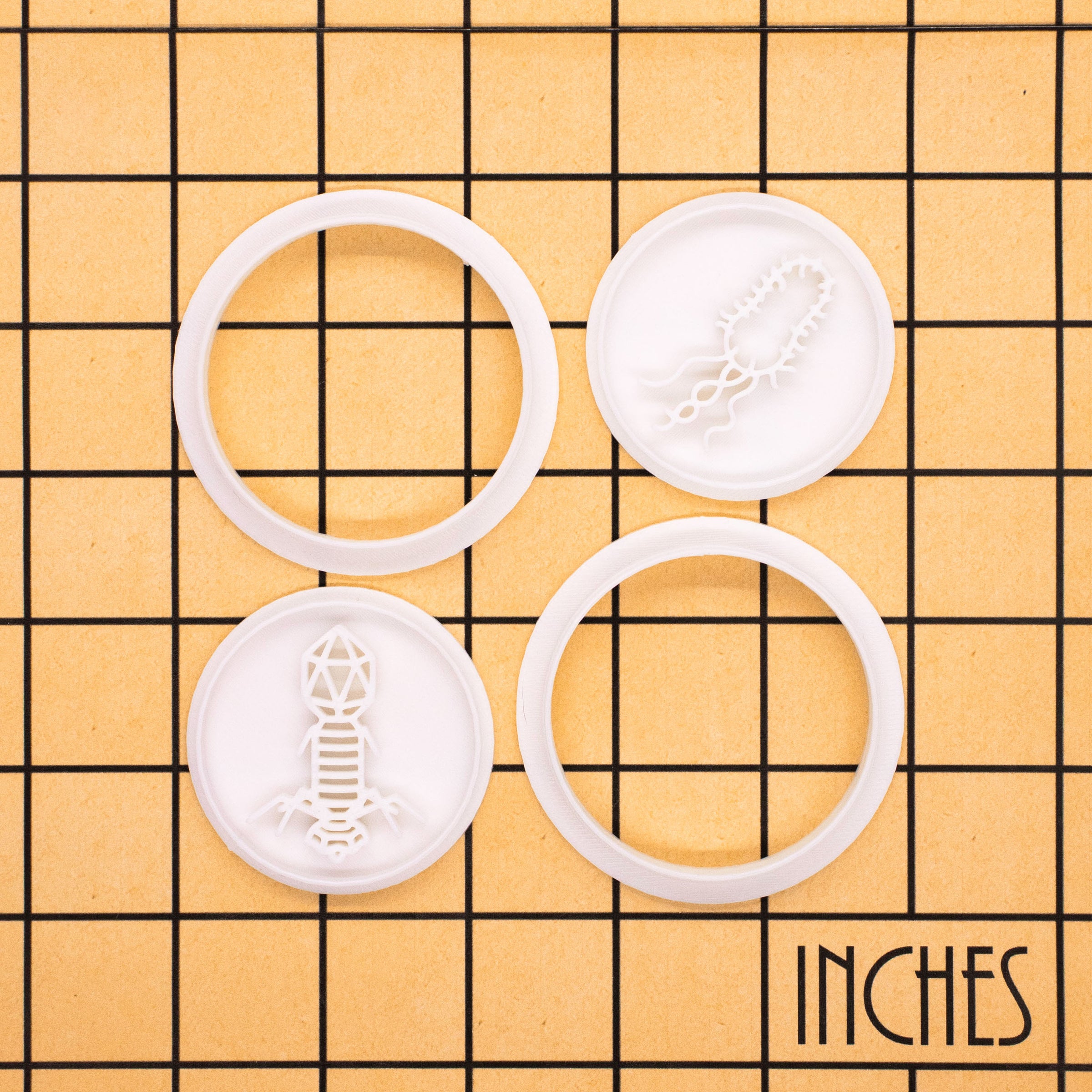 Bacteria & Virus Mini Set
