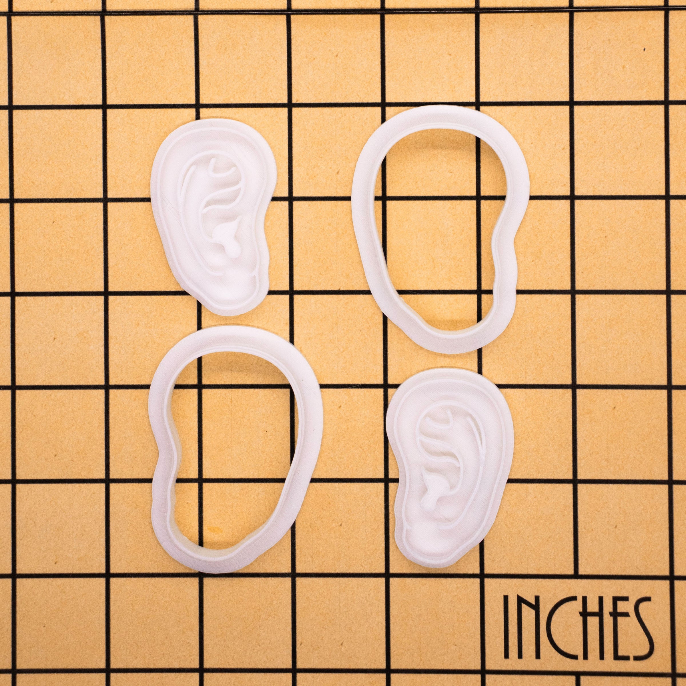 Human Ears Mini Set