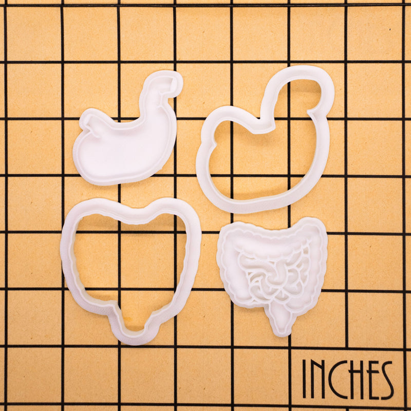 Digestive System Mini Set