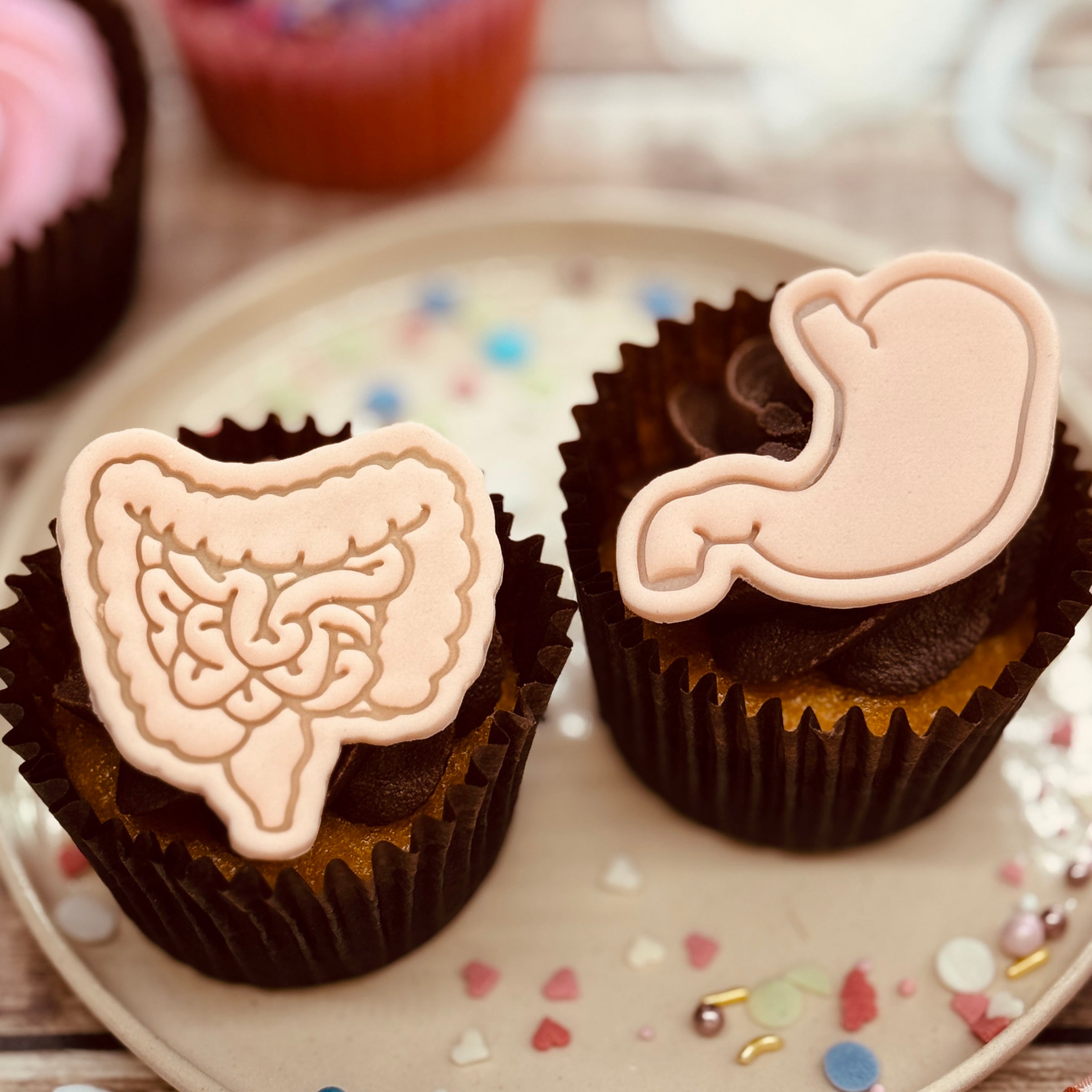 Digestive System Mini Set