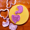 Digestive System Mini Set