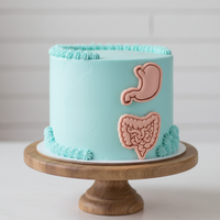 Digestive System Mini Set