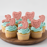 Digestive System Mini Set