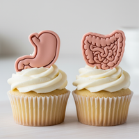 Digestive System Mini Set