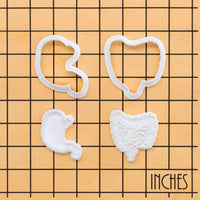 Digestive System Mini Set