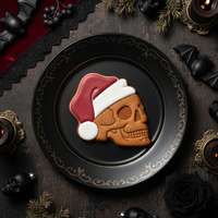 Skull with Santa Hat