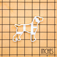 Weimaraner Full-Body