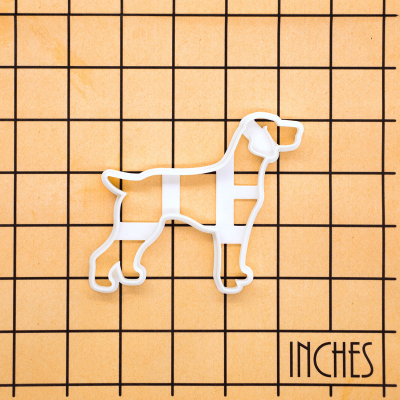 Weimaraner Full-Body