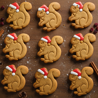 Squirrel with Santa Hat