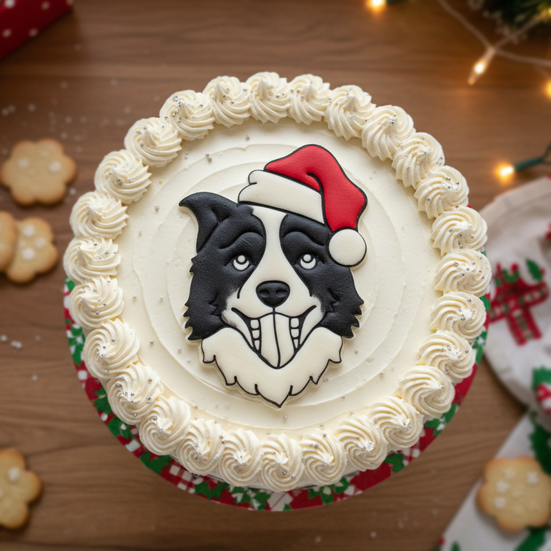 Border Collie Face with Santa Hat