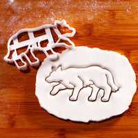 Border Collie Crouch Crawl