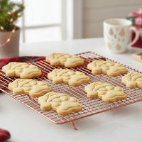 Large Realistic Santa Paw