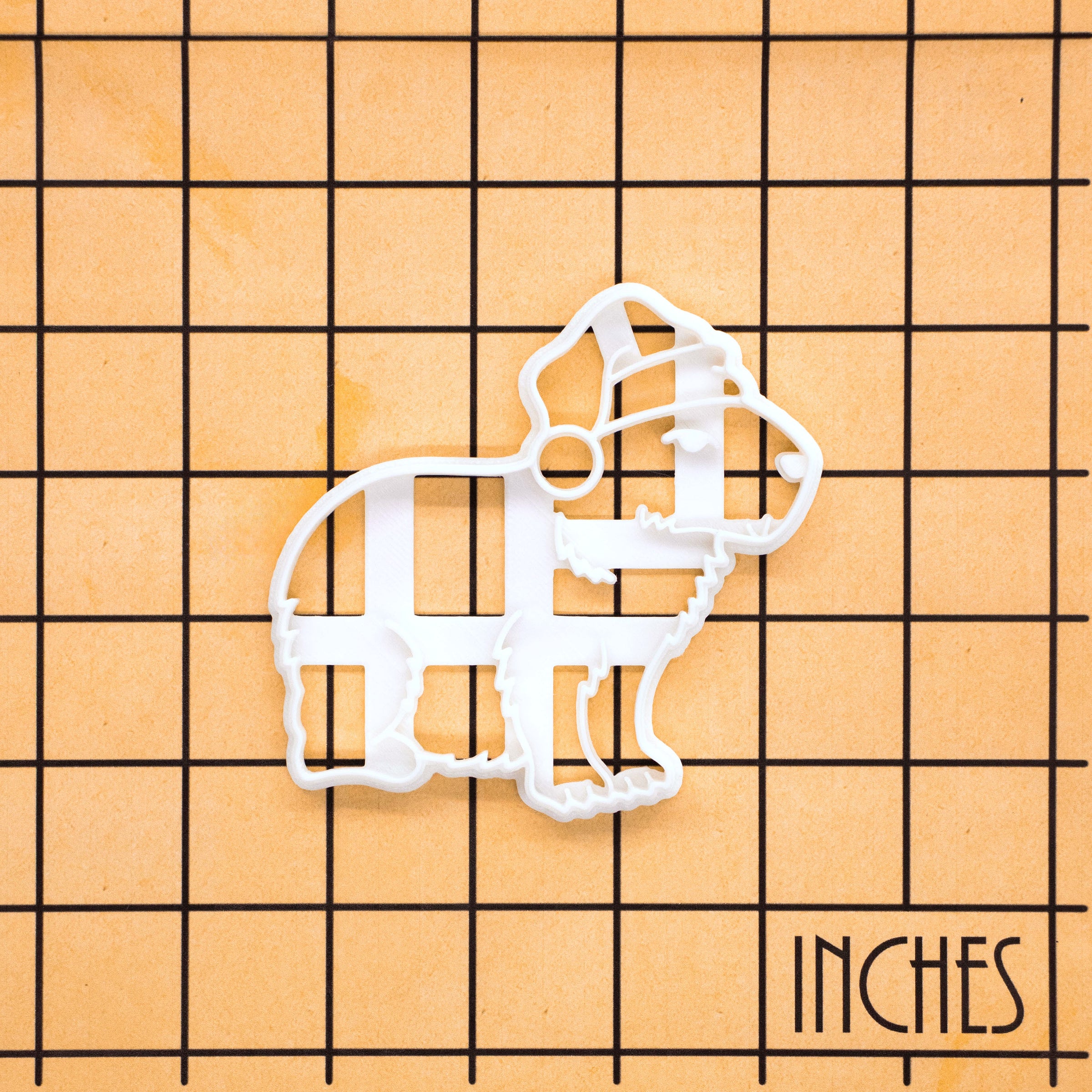 Capybara with Santa Hat