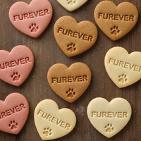 Dog Lover Conversation Heart