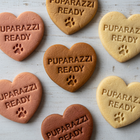 Pet Grooming Conversation Heart