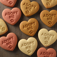 Dog Rescue Conversation Heart