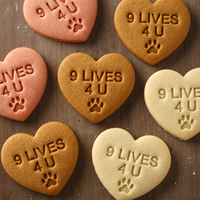 Cat Lover Conversation Heart