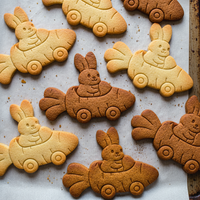 Bunny in Racing Carrot