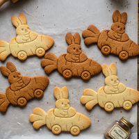 Bunny in Racing Carrot