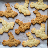 Racing Bunny Adventure Set