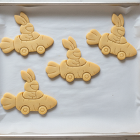 Speedy Bunny with Helmet in Racing Carrot Car