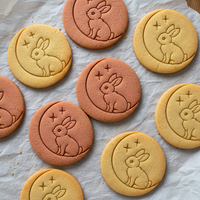 Bunny on Moon Set (2pcs)