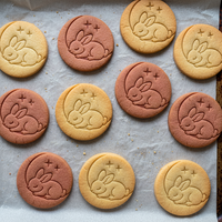 Sleeping Bunny on Moon